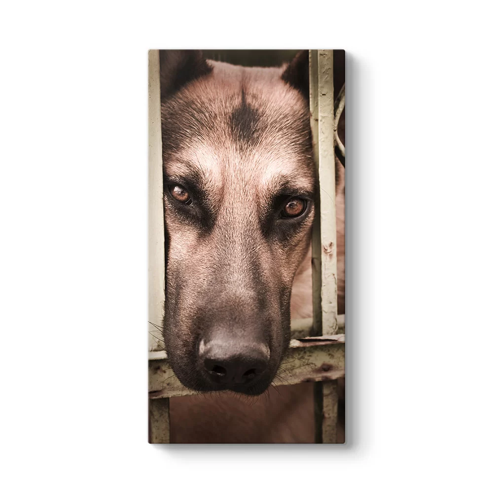 Kurt Köpeği Tablosu - Model 7